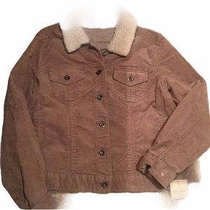 NWT SONOMA Corduroy jacket fungi L coat Sherpa
